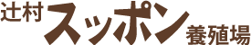 スッポンの通販・直販！福岡の老舗・辻村スッポン養殖場